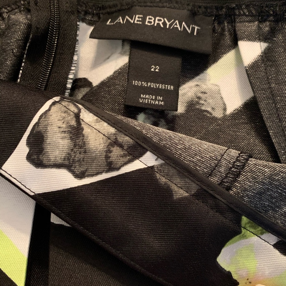 Lane Bryant circle skirt